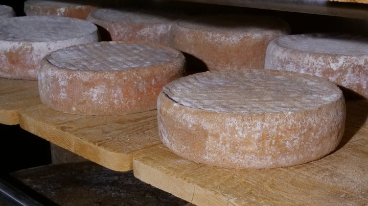 Raclette-Käse: Champoussin (Alpage) - Easyraclette